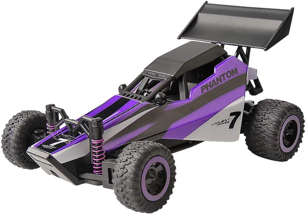 RC Car Drifting Truck 2.4Ghz Remote Control Racing 1/32 2WD High Speed Monster Truck Off road Vehicle RTR Electric Off-Road Buggy Rock Crawler for Kids Adults Hobby Toys,Purple