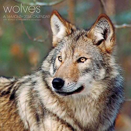 Wolves Wall Calendar (2016) Calendar โ Wall Calendar, June 17, 2014