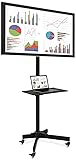 Mount-It! Adjustable Mobile TV Cart, Wheeled Flat