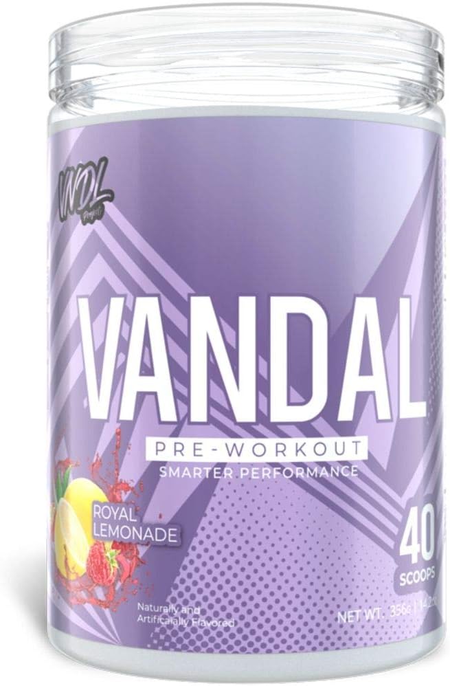Vandal | Pre Workout Powder - All Natural & Safe Nootropic Pre Workout Supplement for Men & Women | Boosts Energy, Focus, Performance & Recovery | No Tingles, No Jitters, No Crash. | 40 Servings.: Health & Personal Care