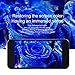 Carebol Anti Blue Light Tempered Glass Screen Protector for iPhone 8 Plus,7 Plus,6s Plus,6 Plus [5.5