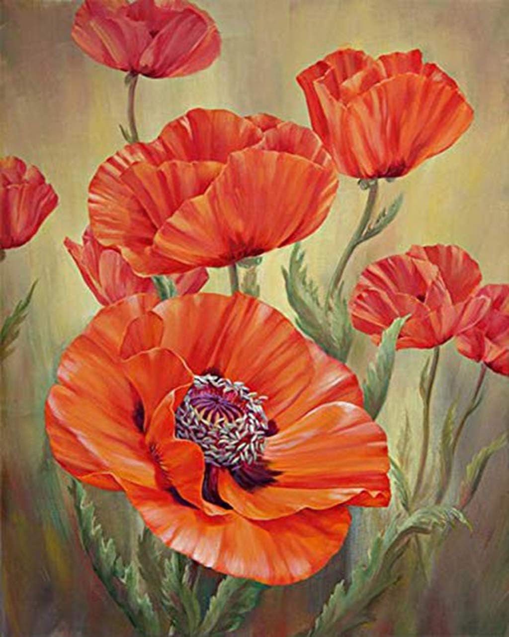 Amazon.com: TINMI ARTS 5D Diamond Painting Poppy Flower Full Round Kits