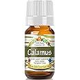Pure Gold Essential Oils - Calamus Essential Oil - 0.33 Fluid Ounces