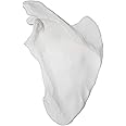 Scapula Bone Model - Left - Anatomically Accurate Human Scapula Bone Replica - hBARSCI