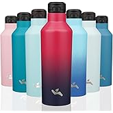 Insulated Water Bottle with Straw,25 OZ Double Wall Vacuum Stainless Steel Water Flask with 2 Lids,Glamour Red