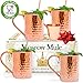 Benicci Moscow Mule Copper Mugs - Set of 4 - 100% HANDCRAFTED - Food Safe Pure Solid Unlined Copper Mugs 16 oz Gift Set - BONUS Highest Quality Copper Shot Glass and Cocktail Straws - Christmas Gift