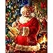 Diamond Painting，5D DIY Christmas- Rhinestone Pasted Embroidery Painting Cross Stitch Home Decor-Decorating Cabinet Table Stickers Crystal Pictures for Study Room,Flower Painting (E)