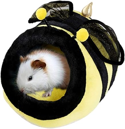 guinea pig accessories amazon