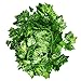 Outus 12 Pack Artificial Greenery Ivy Vine Leaves Garland for Wedding Party Garden Wall Party Decoration