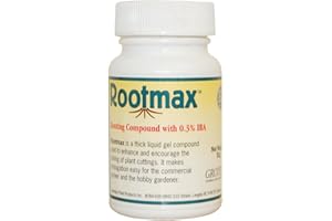 Root Max 50G