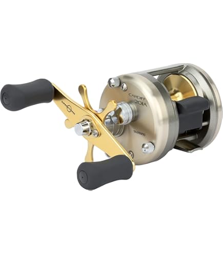 Amazon.com : Shimano 12 Calcutta 400 SVS 028297 : Spinning