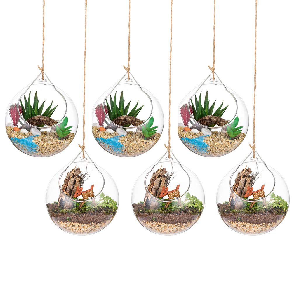 Hanging Glass Globes Terrarium Succulents Orbs 6 Pcs Glass Planter Big Opening Air Fern Plants Vase Hanger 10cm for Home Party Wedding Garden DIY Design