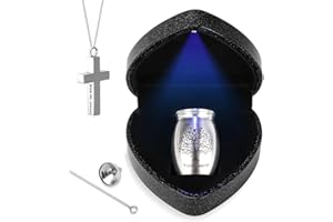 ABIGIO Small Urns for Human Ashes Keepsake with Heart Box, Urn Necklace and Funnel, Beautiful Memorial Gifts for Loss of Loved One, Mini Cremation Urns That Holds Ashes, Silver