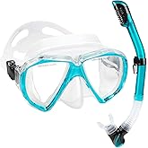 Adult Snorkel Set, Professional Snorkeling Gear Panoramic Anti-Fog Diving Goggles and Dry Snorkel Tempered Glass Scuba Mask for Diving, Snorkeling and Swimming