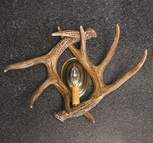 Amazon.com: BLACK FOREST DECOR Whitetail Deer 2 Antler ...
