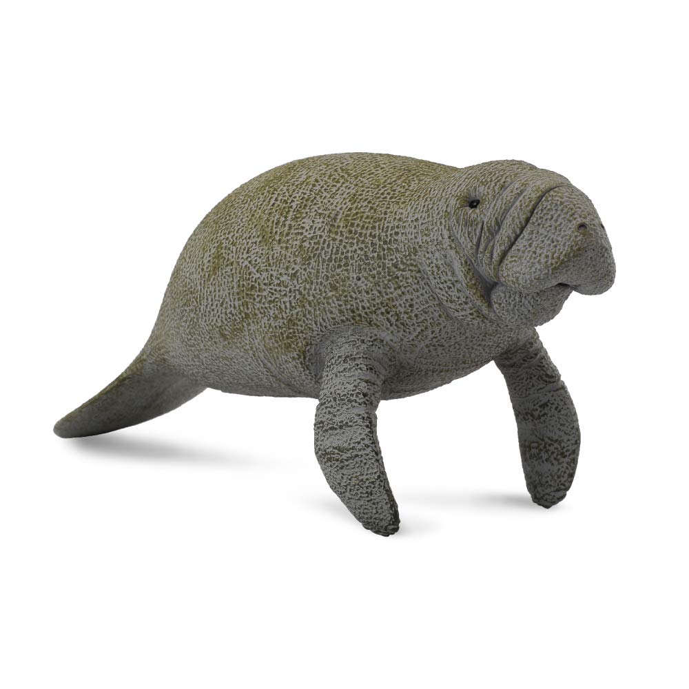 CollectA Manatee