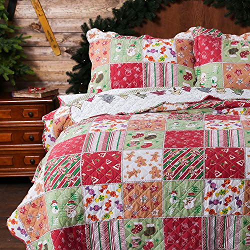 Bedsure Christmas Quilt Set King Size (106x96 inches) Multicolor
