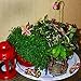 Mood Lab Fairy Garden - Figurines and Accessories Set - Hand Painted Miniature Gazebo Kit for Outdoor or House Decor