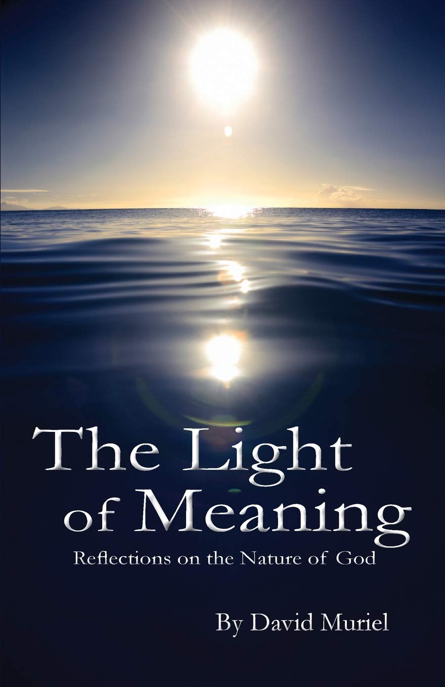 The Light Of Meaning David Muriel 9780988847101 Amazon Com Books