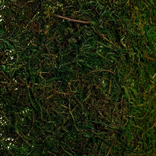 2 Byher+Dried+Runner+Garden+Decoration