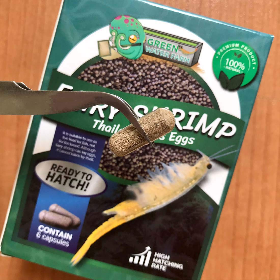 GreenWaterFarm Fairy Shrimp Thailandensis Eggs Live Fish Food for Hatching and Culture Suitable for Feed Betta Fish