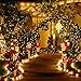 Goodia Copper Wire String Lights, 33ft 100 Micro LEDs Solar Firefly Lights Waterproof Decorative Lighting, Warm White