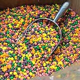 Wonka Nerds bulk rainbow Nerds candy 1 pound
