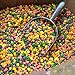 Wonka Nerds bulk rainbow Nerds candy 1 pound