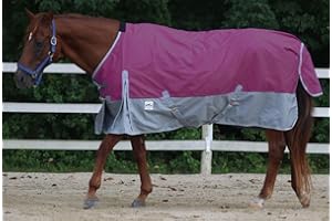 Rugged Ride 1200 Denier Midweight Waterproof Turnout Blanket - with Grey Skirt - 200 gram Fill