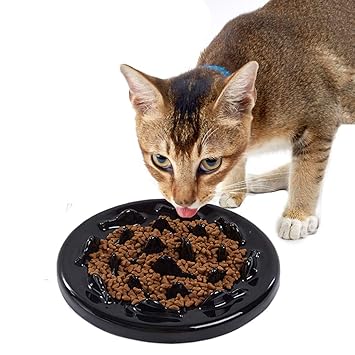 Dotpet Slow Feeder Bowl Ceramic Fun Interactive Feeder Cat Bowl
