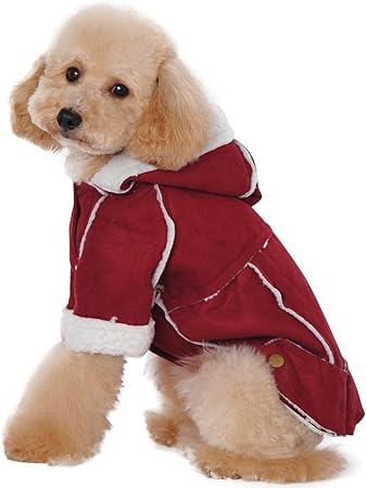 dog snowsuit with feet
