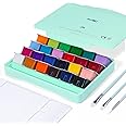 HIMI Gouache Paint Set, 24 Colors x 30ml Unique Jelly Cup Design with 3 Paint Brushes and a Palette in a Carrying Case Perfec
