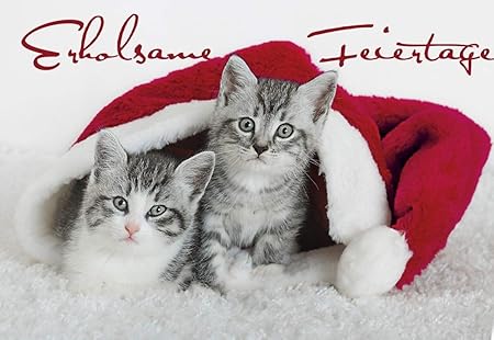 Natale Gattino Divertente Gatti Cartoline Di Natale 2 Biglietti Con Busta 2 Cartoline Ideale Biglietti Di Auguri Per Natale Per Gatto Amici O Famiglie Con Bambini Amazon It Cancelleria E Prodotti Per Ufficio