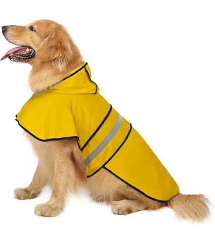 Retriever Canine Shasta Flat Coats Dog Harness And Seat Belt