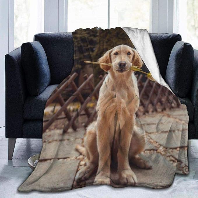 GHYUIPP Blanket,Soft Warm，Polyester, All Season Throw Blanket Elegant