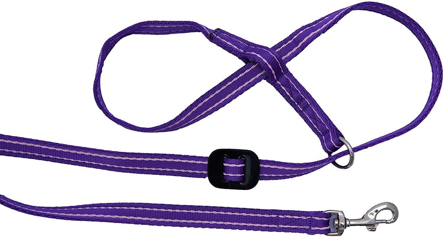 Gencon, Clip-to-Collar Dog Headcollar and Lead, Trainer Approved, One Size Dog Training & Behaviour Aid