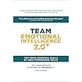 Team Emotional Intelligence 2.0: The Four Essential Skills of High Performing Teams