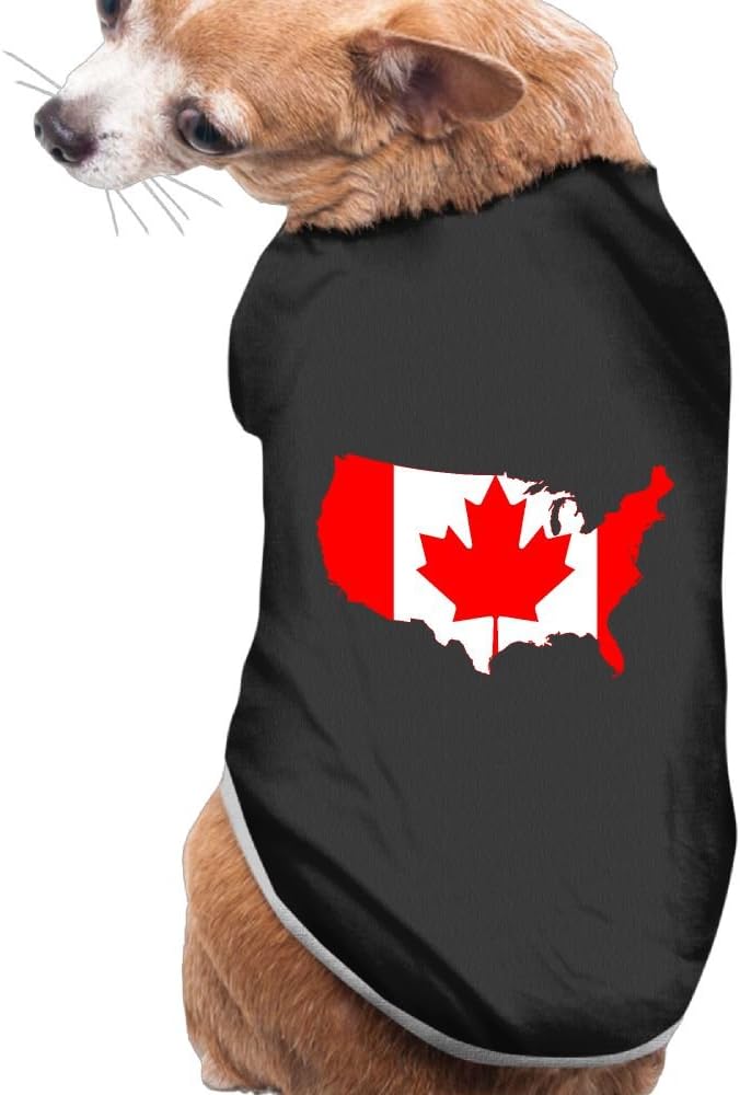 leopard gecko litter box