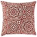 Amazon Brand – Stone & Beam Medallion Decorative Throw Pillow, 17