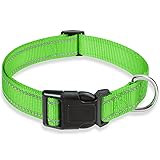 Reflective Dog Collar with Buckle Adjustable Safety