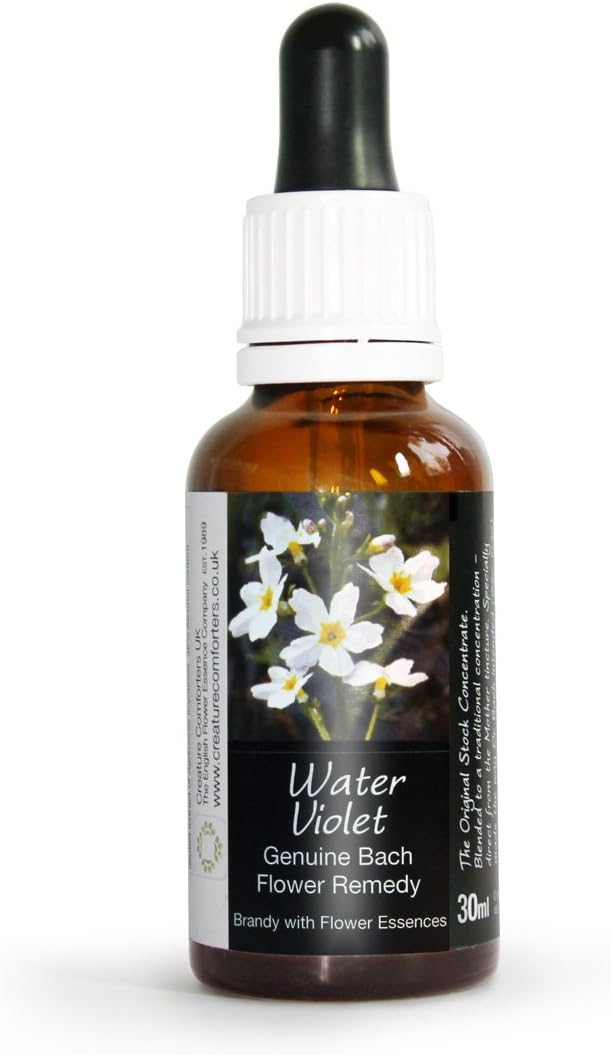 Water Violet Bach Flower Remedy Large 30ml. Genuine Traditionally Made Essences