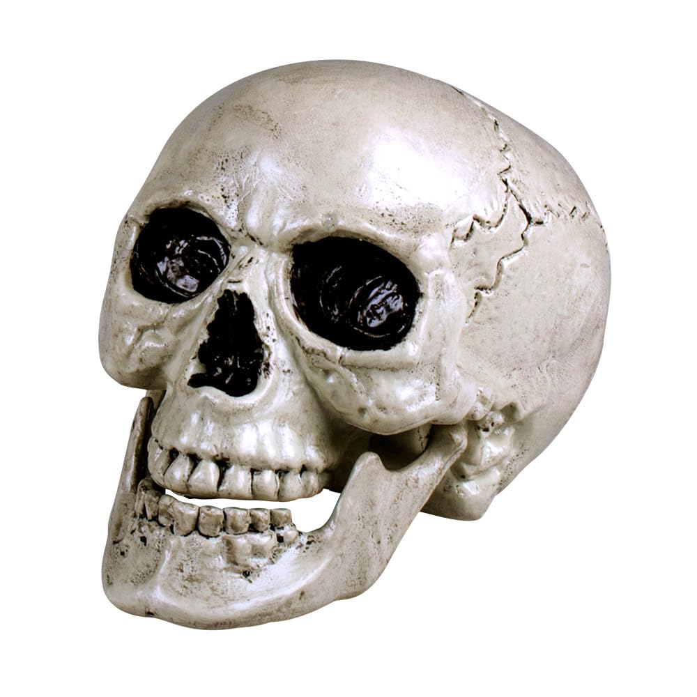 Boland 74362 Decoration Skull Maxilla with Opening Jaw (White)