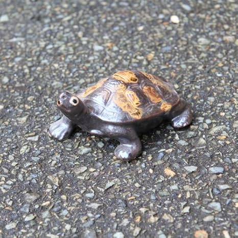 Amazon 置物 信楽焼き亀 カメ 6号 置物 オブジェ オンライン通販