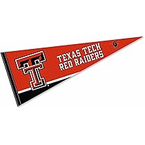 Desert Cactus Texas Tech University Baseball Hat TTU Red Raiders Brimm