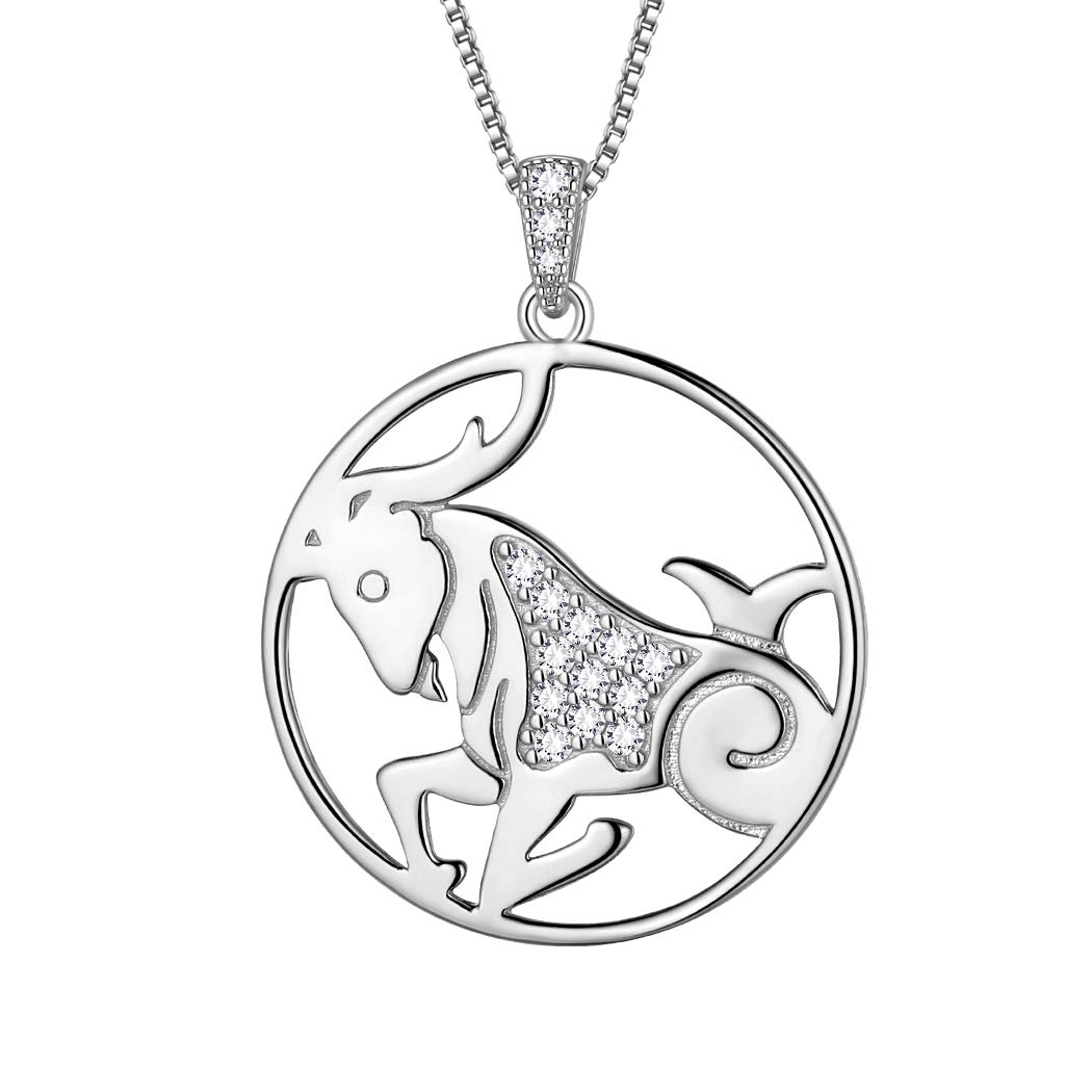 Aurora Tears Capricorn Necklace 925 Sterling Sliver 12 Zodiac Pendant Constellation Round Coin Necklace CZ Horoscope Jewellery Gift for Women and Girls DP0111M — image 1