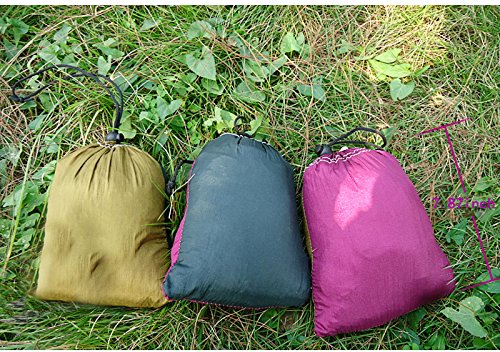 Stamo Outdoor Double Camping Hammock Nylon Hammock with Tree Straps and Carabiner (Blue)