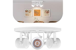 Arcfox 27W 3000K 3-Light LED Flush Mount Ceiling Spotlight Fixture Dimmable Directional Lighting LED Spot Ceiling for Artwork Shop Office Task Lighting 2250LM White