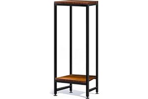 Plant Stand Indoor 2 Tiers Heavy Duty Plant Stand for Indoor Outdoor Plants Metal Pedestal Stand 31" Tall Flower Pot Stand Mo