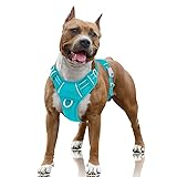 BARKBAY No Pull Dog Harness Large Reflective Dog
