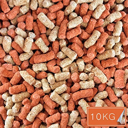 high protein koi food